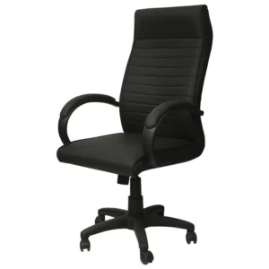 Alatorre Executive Chai