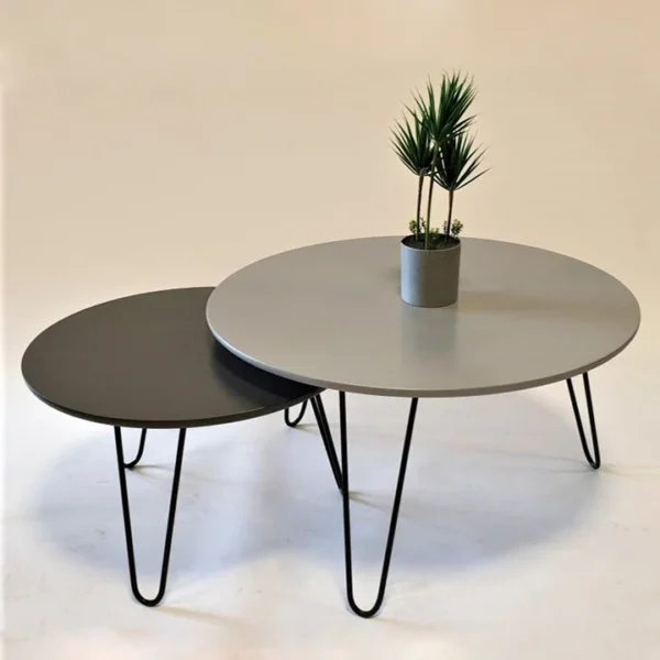 Enid Nesting Coffee Table - Image 4